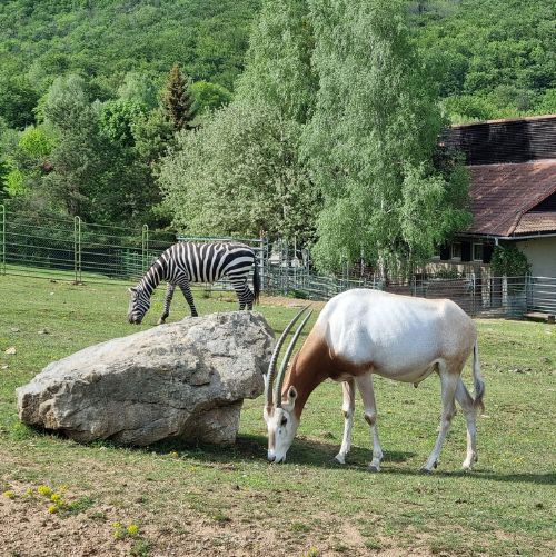 ZOO KOŠICE
